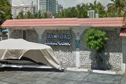 bay road animal clinic miami beach vets