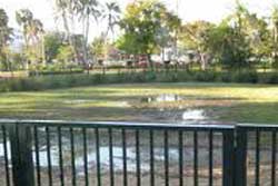 dog park miami beach