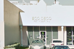 eco deco pet hospital pet friendly miami beach veterinarian