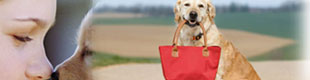 tripadvisor.com restaurants with dogs allowed in taos; dog friendly restaurants in miami beach