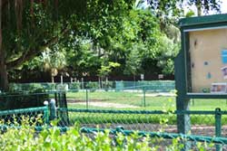 dog park miami beach