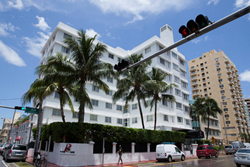 pet friendly hotel in miami beach