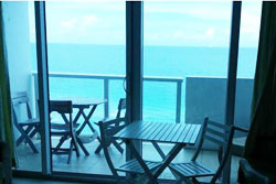 Miami Beach Oceanfront with Balcony, Wheenchair Accessicle AND Pet Friendly miami beach vacation rental, handicapped accessible and dog friendly rentals in south beach